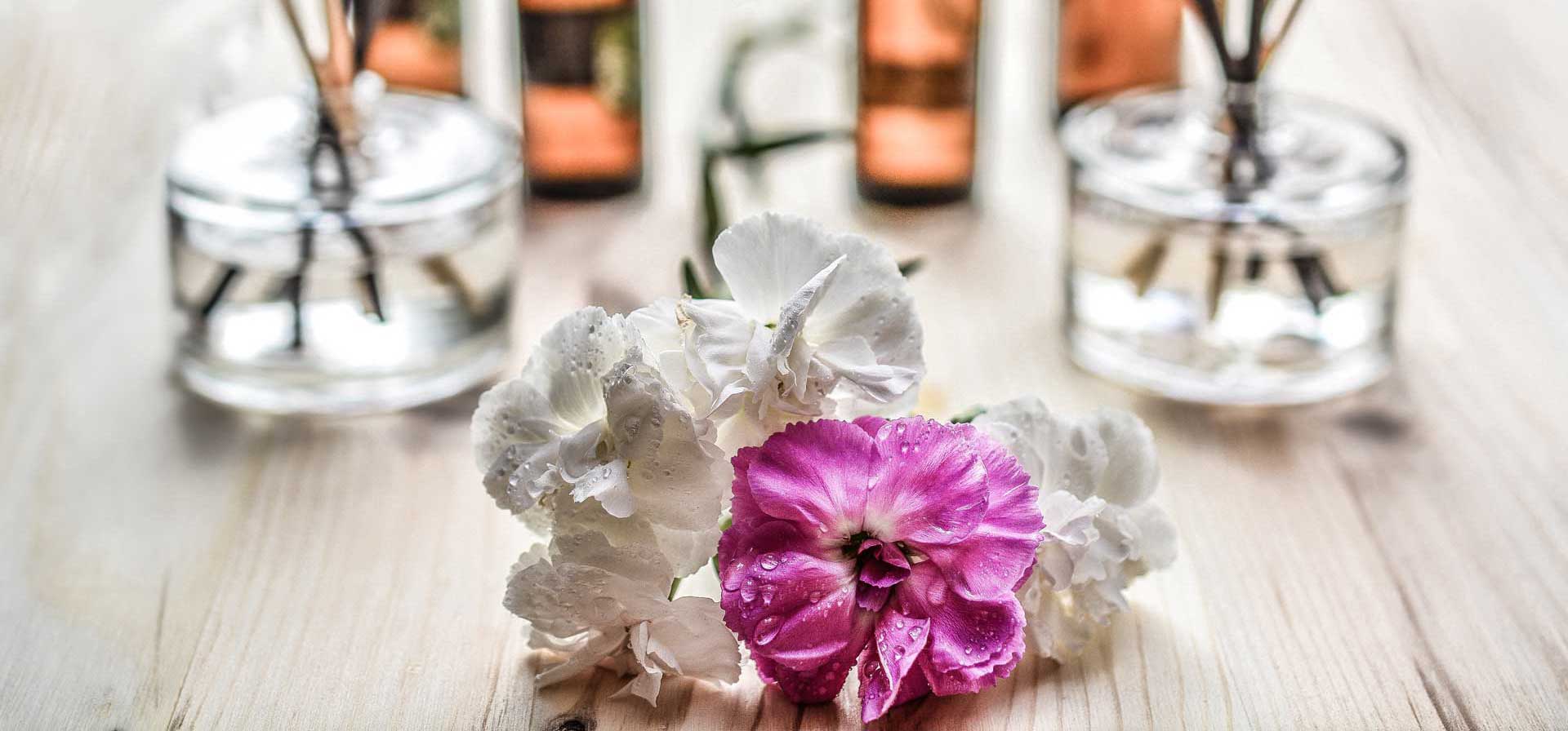 philosophy of your own beauty